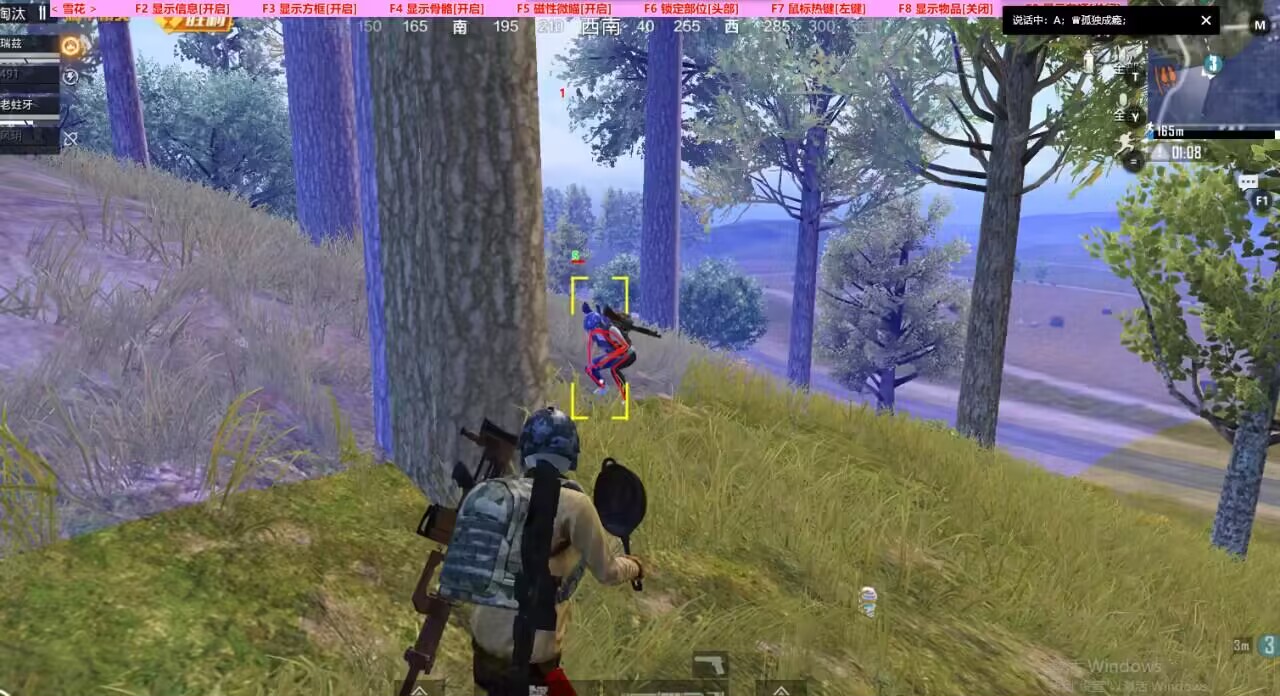 和平精英辅助【彩虹】